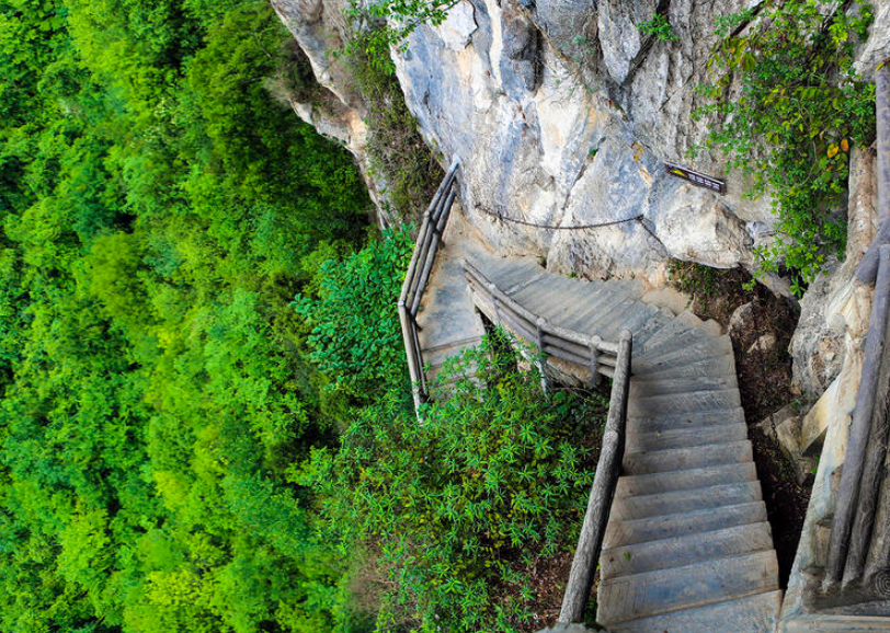 1611365780556366.png 1611365780556366.png