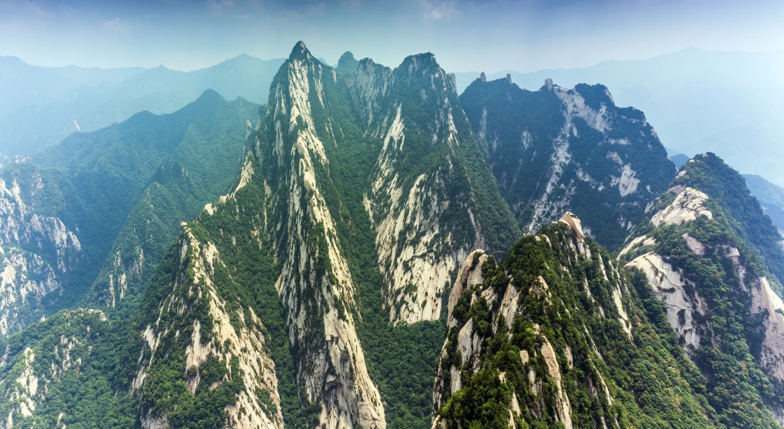 1611383697279389.png 1611383697279389.png