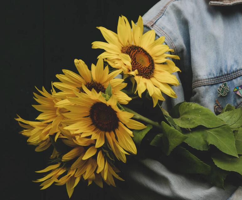 1611394751756628.jpg 1611394751756628.jpg