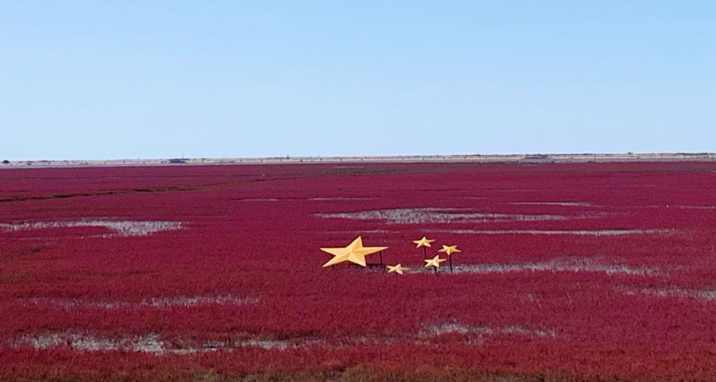 1611906492129574.png 1611906492129574.png