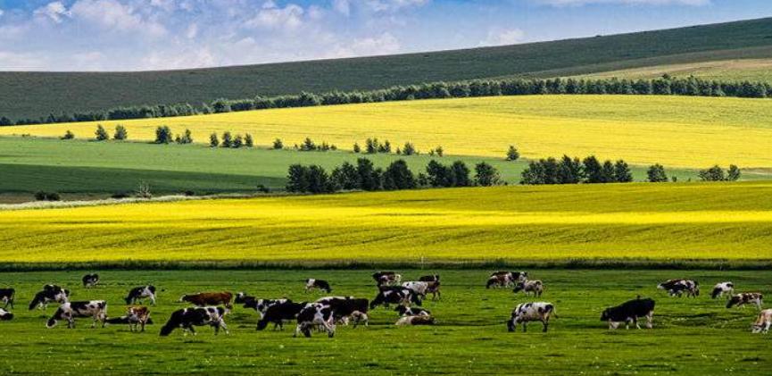 1566462799802014.png 1566462799802014.png