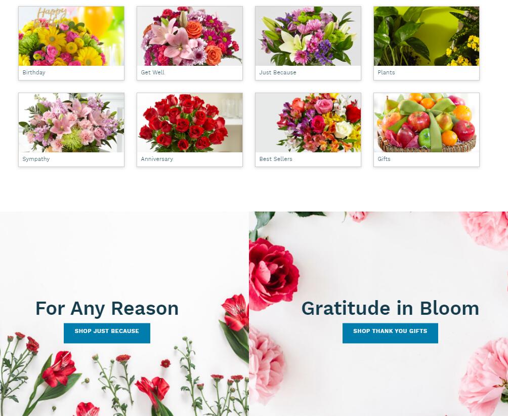 8 Best Places To Order Cheap Flowers Online In The USA (Delivery