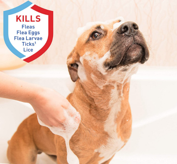 10 Best Waterless AntiFlea & Tick Shampoos for Cats And Dogs Extrabux