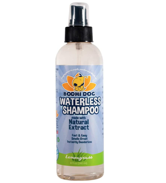 dry flea shampoo