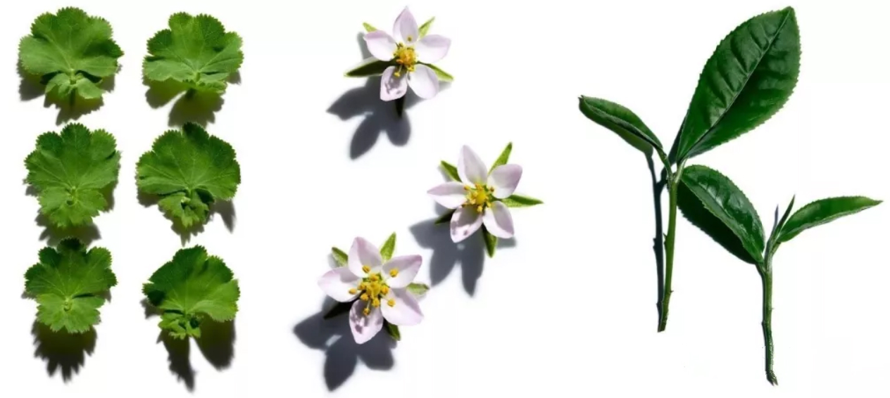 1582193242487372.jpg 1582193242487372.jpg