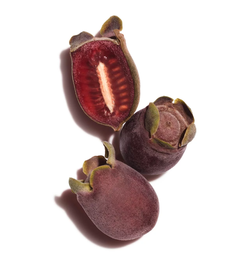 1582191683302866.png 1582191683302866.png