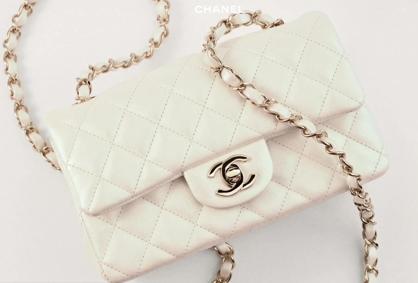 Chanel 2.55 vs. Classic Flap vs. 2.55 bag vs WOC: Which Should You Buy If Is Your First Luxury Bag?