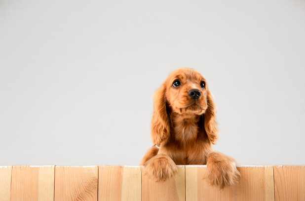 1618378612632524.png image.png