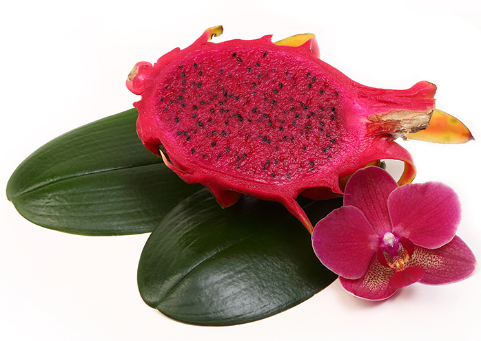 1616651560829217.png 1616651560829217.png