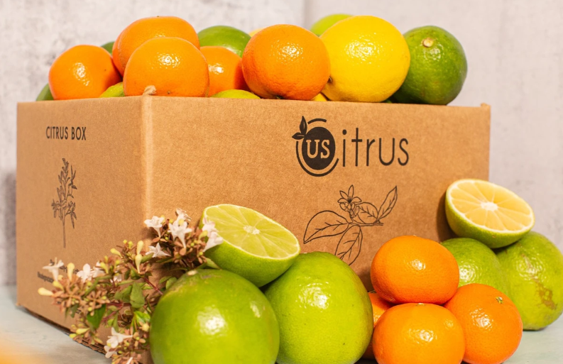 1616651719161288.png 1616651719161288.png