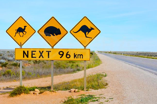 1621475602574845.png 1621475602574845.png