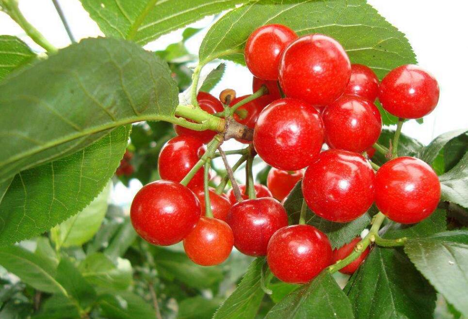 1555565174703919.jpg 1555565174703919.jpg