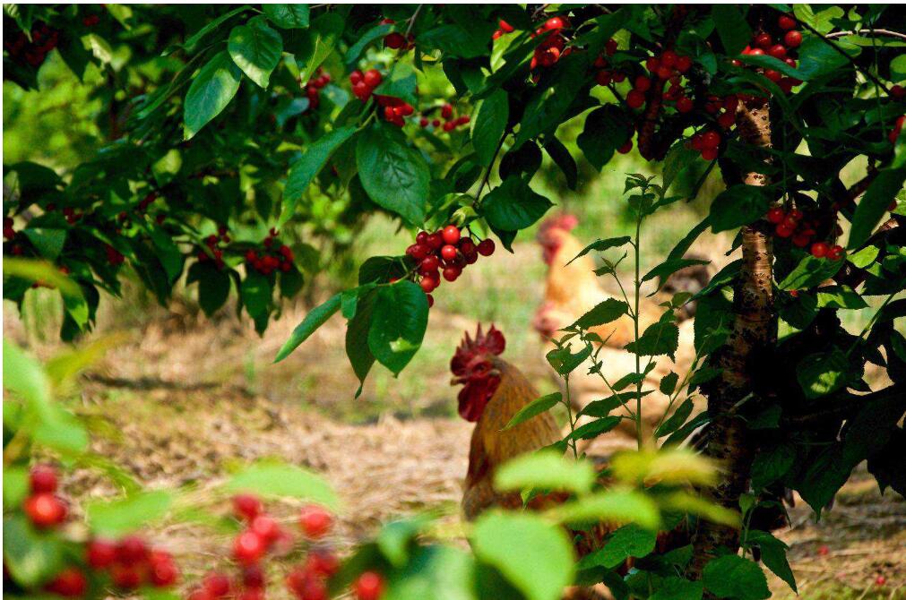 1555564883847736.jpg 1555564883847736.jpg