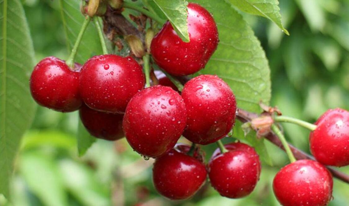 1555565402825510.jpg 1555565402825510.jpg