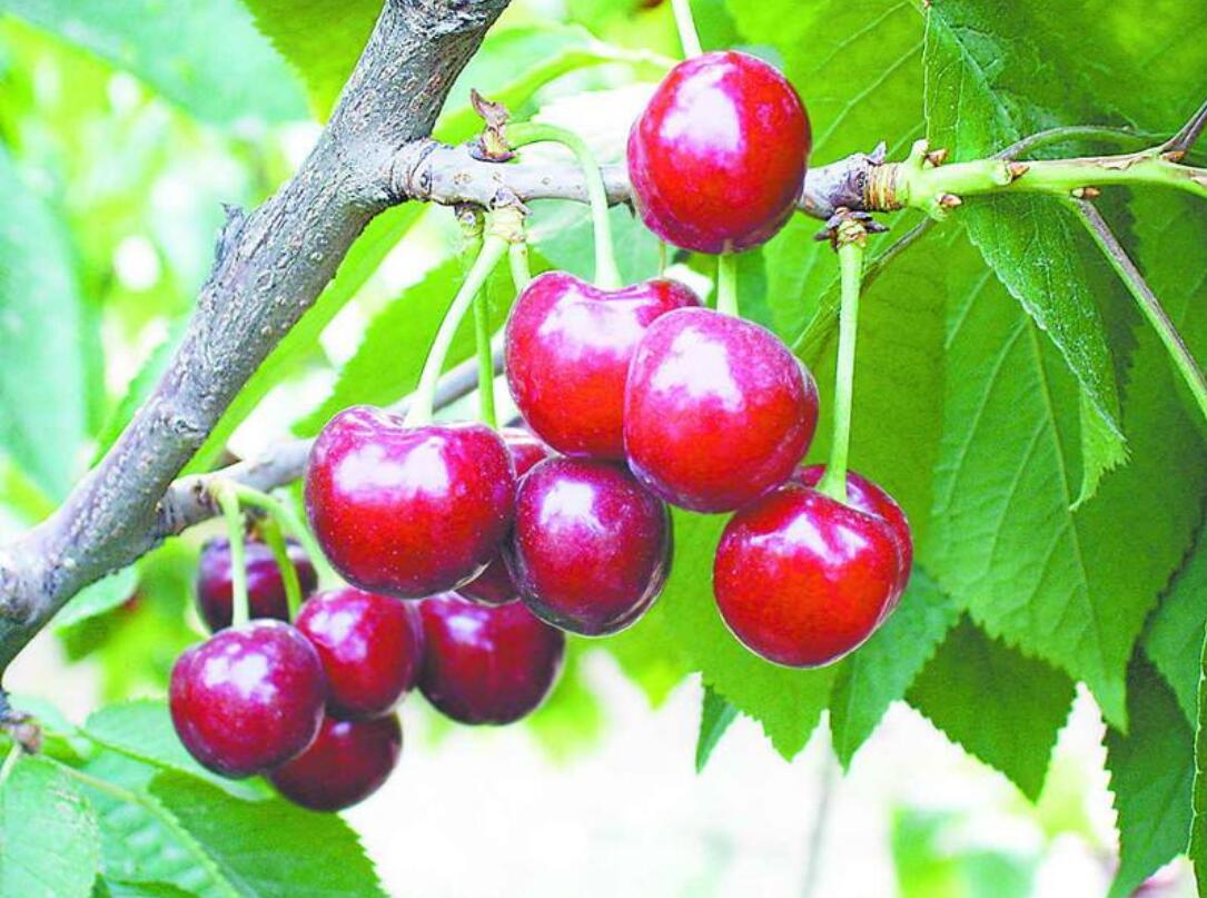 1555558853567105.jpg 1555558853567105.jpg