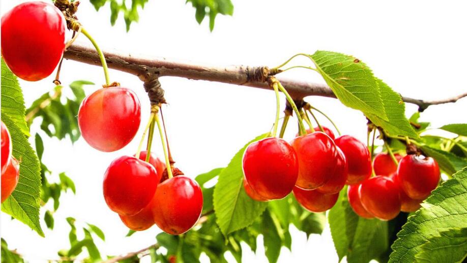 1555565058160508.jpg 1555565058160508.jpg