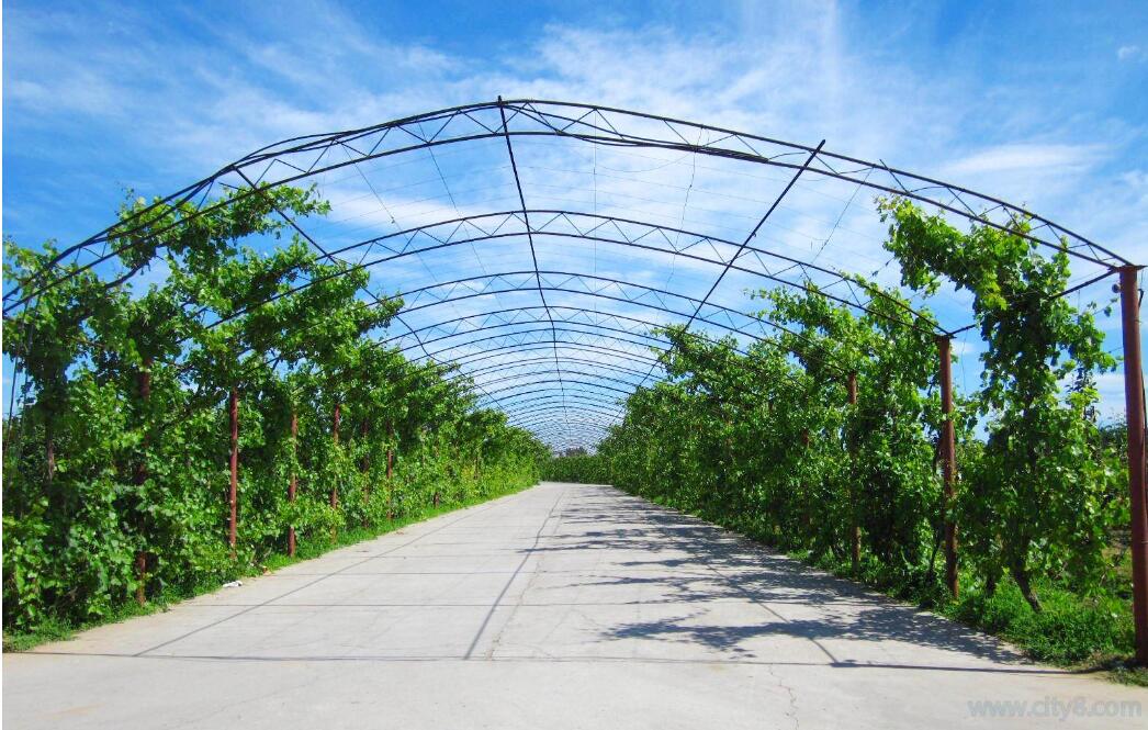 1555565069765480.jpg 1555565069765480.jpg