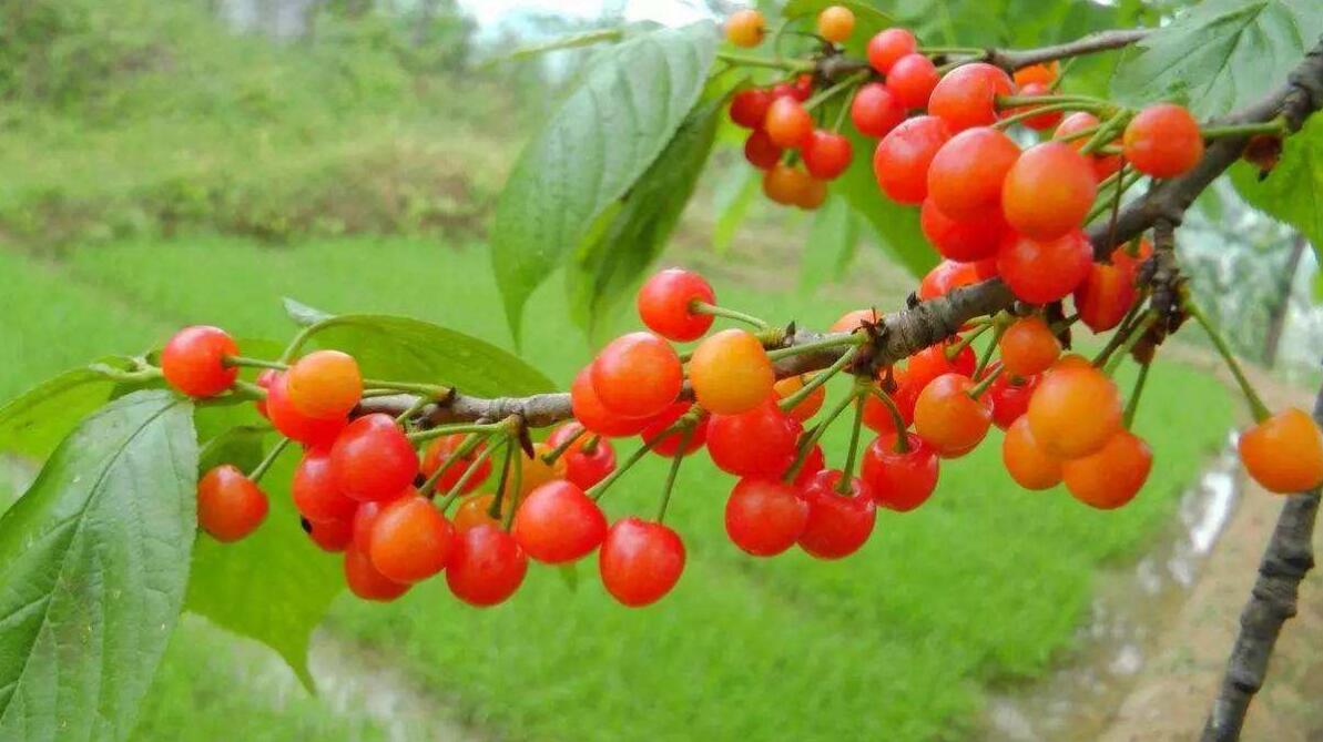 1555565047789793.jpg 1555565047789793.jpg