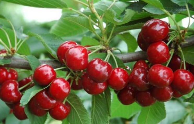 1555565413582699.jpg 1555565413582699.jpg