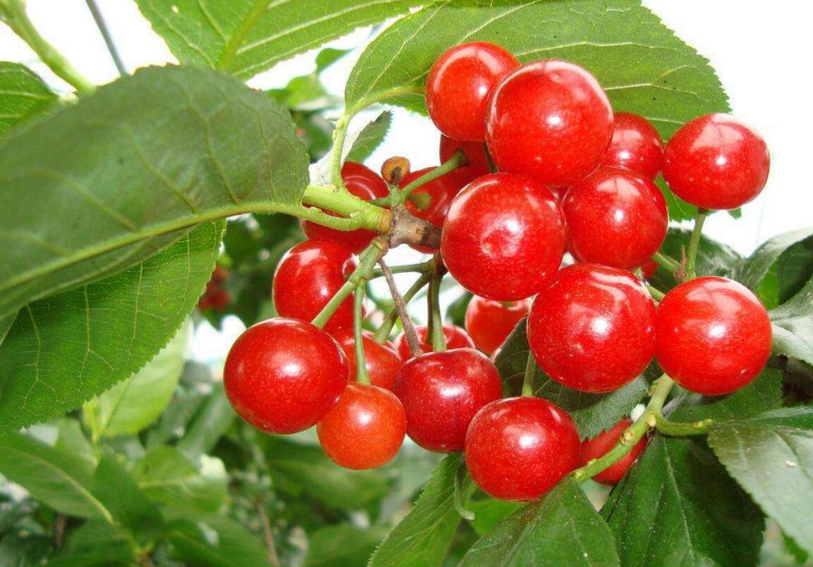 1555911662192794.jpg 1555911662192794.jpg