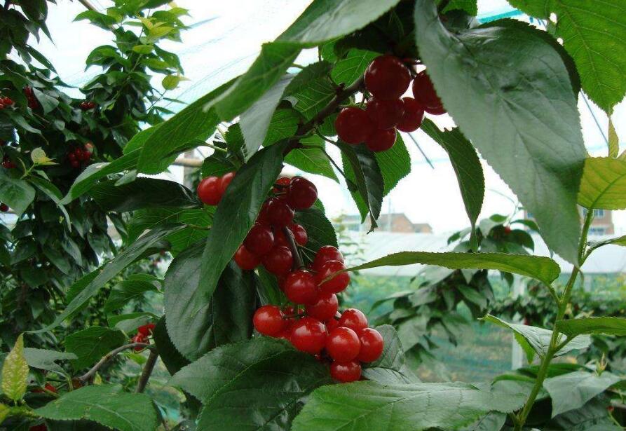 1555911637236039.jpg 1555911637236039.jpg