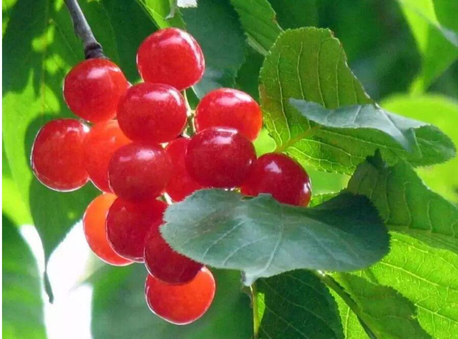 1555911597559311.jpg 1555911597559311.jpg