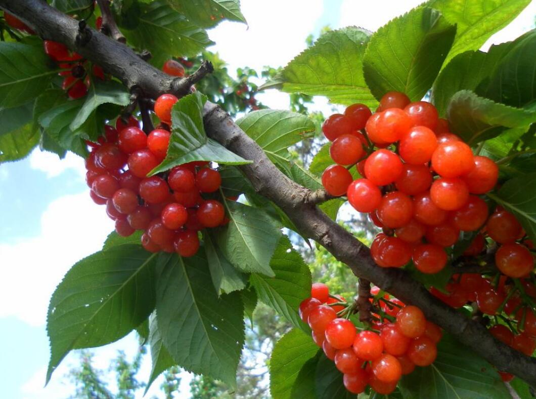 1555911831807473.jpg 1555911831807473.jpg