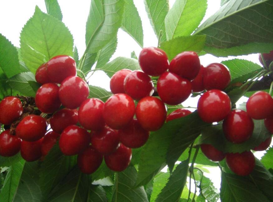 1555911613900698.jpg 1555911613900698.jpg