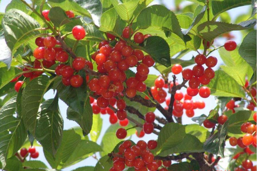 1555911576261735.jpg 1555911576261735.jpg