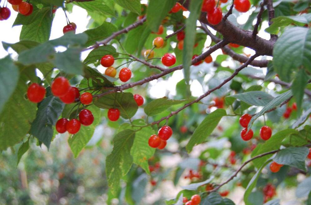 1555911628979283.jpg 1555911628979283.jpg