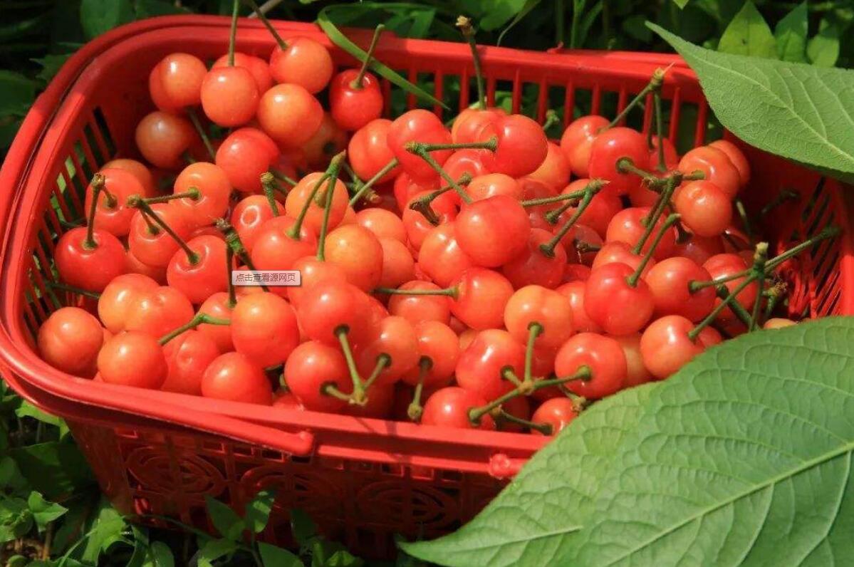 1555911650841130.jpg 1555911650841130.jpg