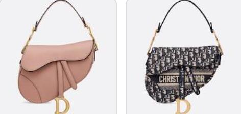 dior famous bag