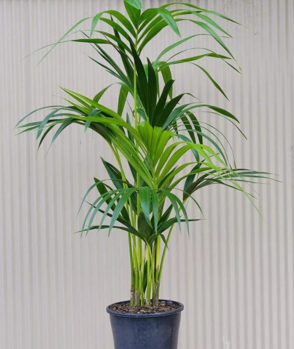 1622111825689898.jpg 1622111825689898.jpg