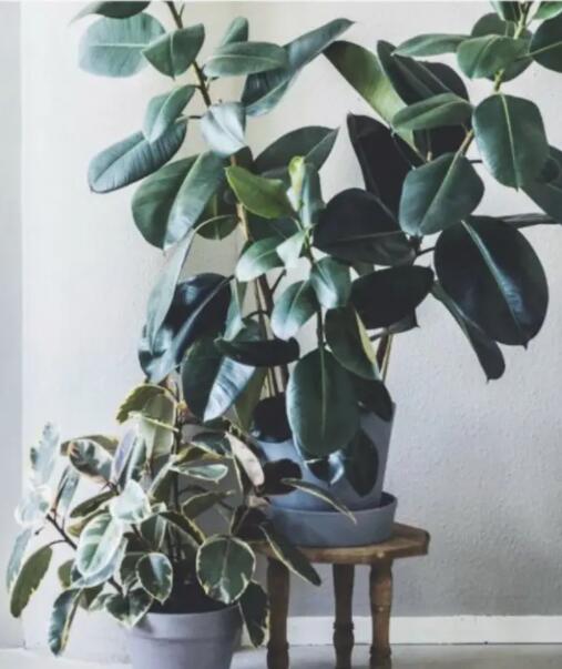 1622111478165996.jpg 1622111478165996.jpg