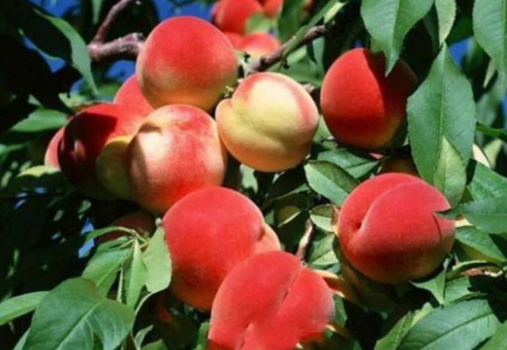 1559698278411509.png 1559698278411509.png