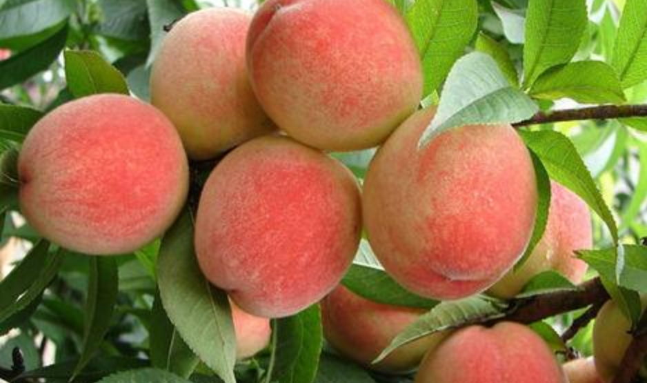 1559698273829312.png 1559698273829312.png