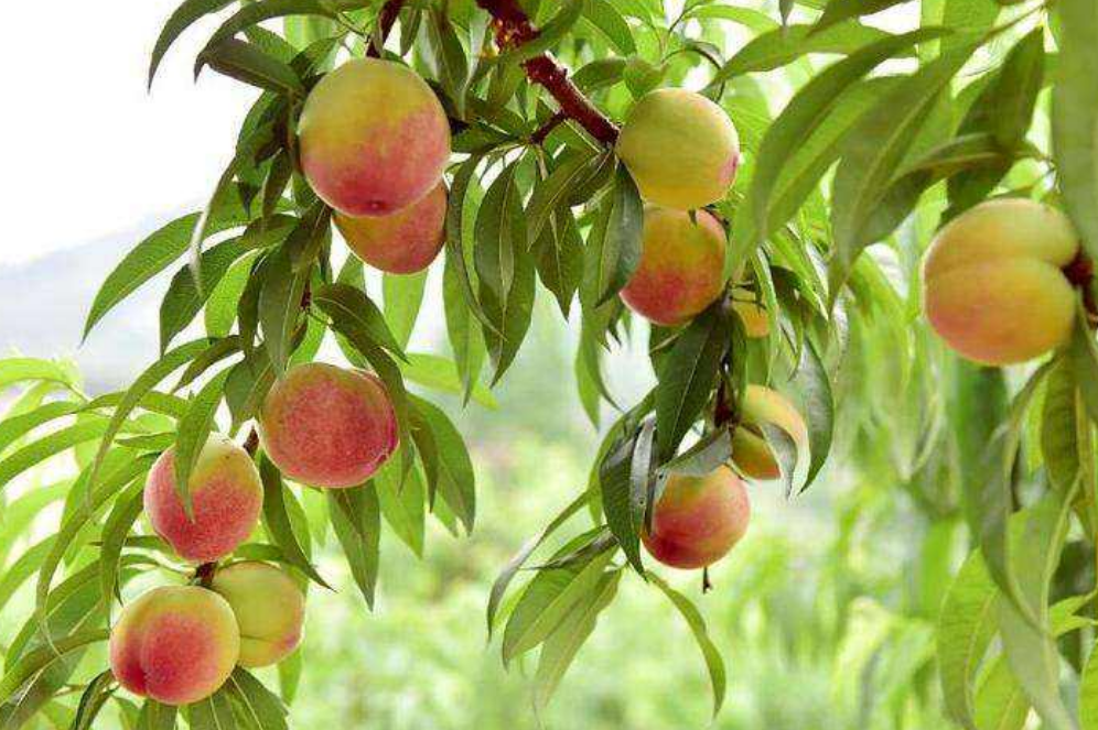 1559698284589238.png 1559698284589238.png