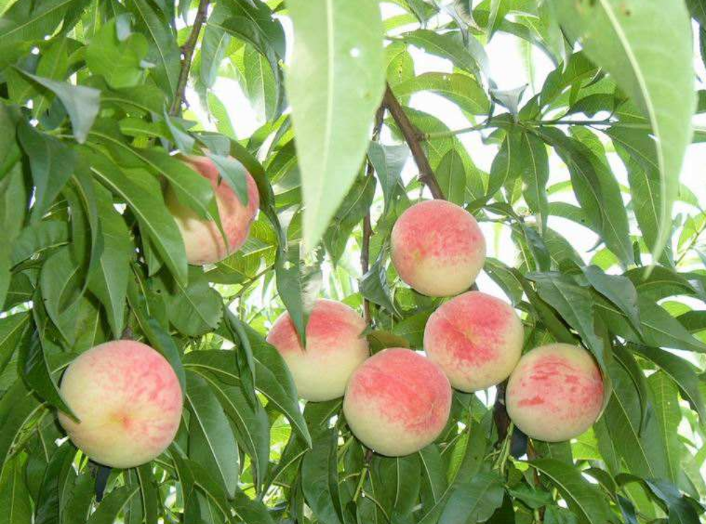 1559698299860995.png 1559698299860995.png