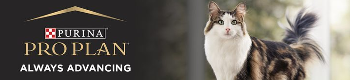 Best Dry Cat Food for Indoor Cats: Royal Canin vs. Purina Pro Plan vs