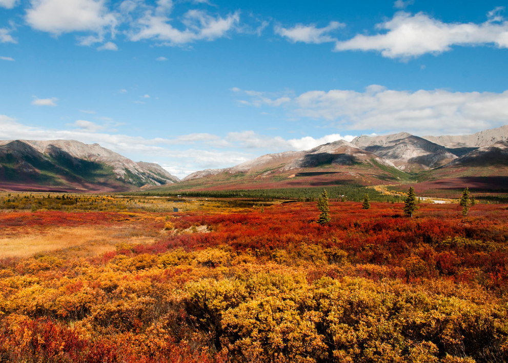 8 Worthy Pit Stops from Anchorage to Denali National Park and Preserve 2024