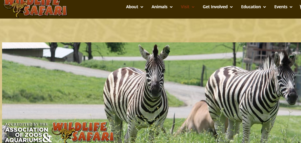 1629338277725677.png 1629338277725677.png