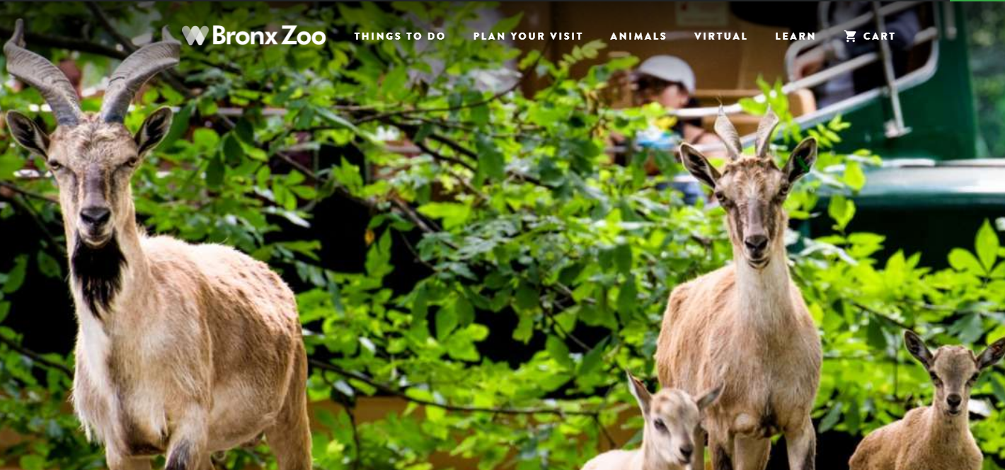 1629338809418168.png 1629338809418168.png