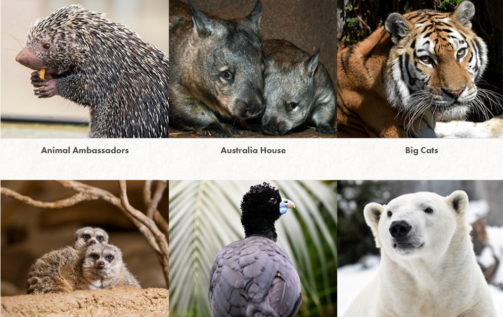 1629340712609321.png 1629340712609321.png