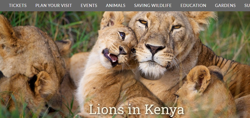 1629352353783474.png 1629352353783474.png