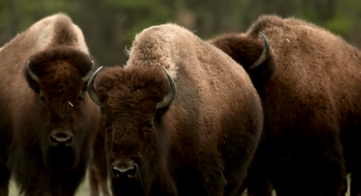 1629352069538829.png 1629352069538829.png