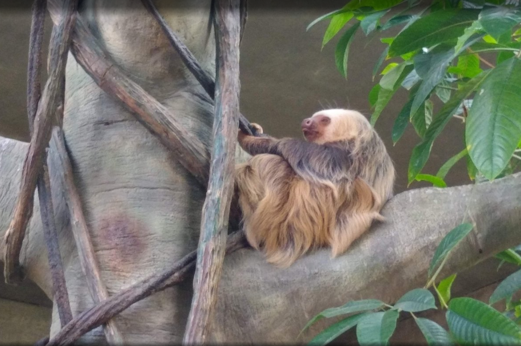 1629344487284144.png 1629344487284144.png