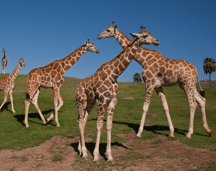 1629351630861883.png 1629351630861883.png