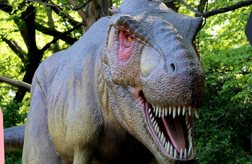 1629350530786302.png 1629350530786302.png