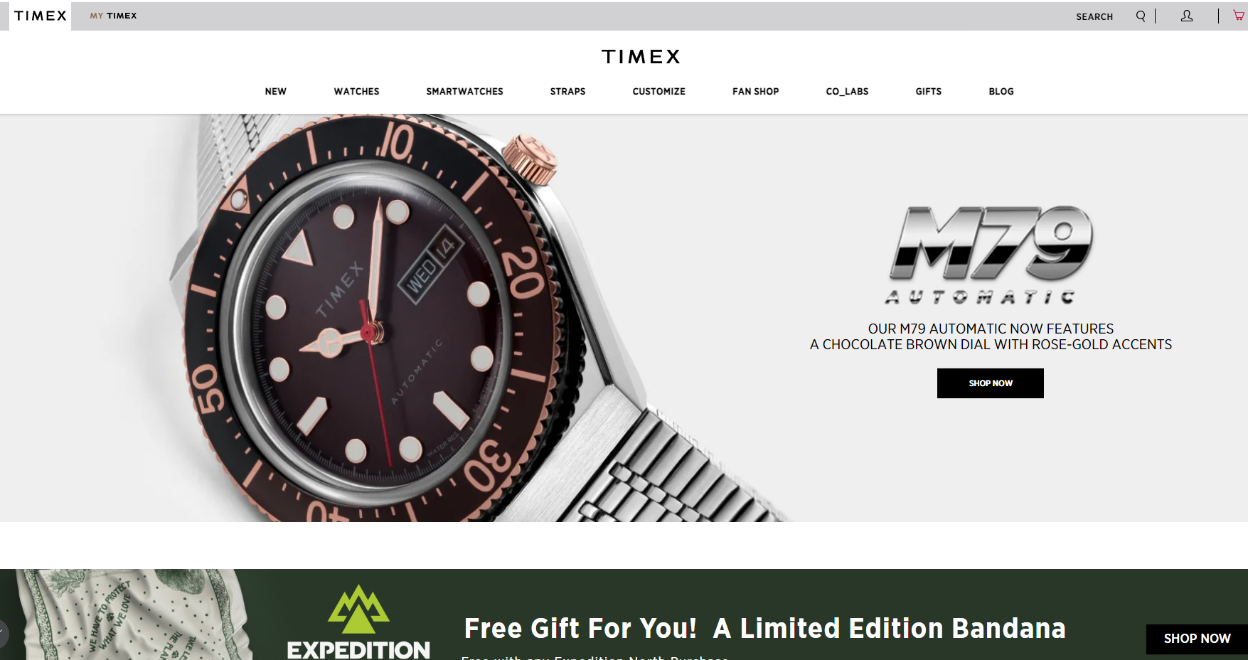 Timex vs. Fossil vs. Seiko: Which Makes the Best Entry-Level Watches? -  Extrabux