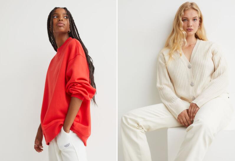 Zara vs. H&M vs. Uniqlo vs. SHEIN: Which Brand is the Best? (History ...